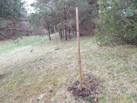 Begunje 1, Boštjan Otoničar